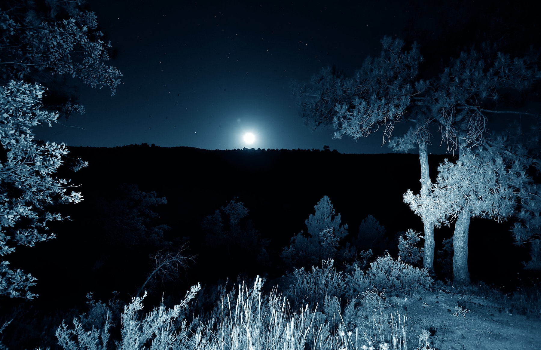 Nikon D4S sample photo. Mrc_4030_1.jpg photography