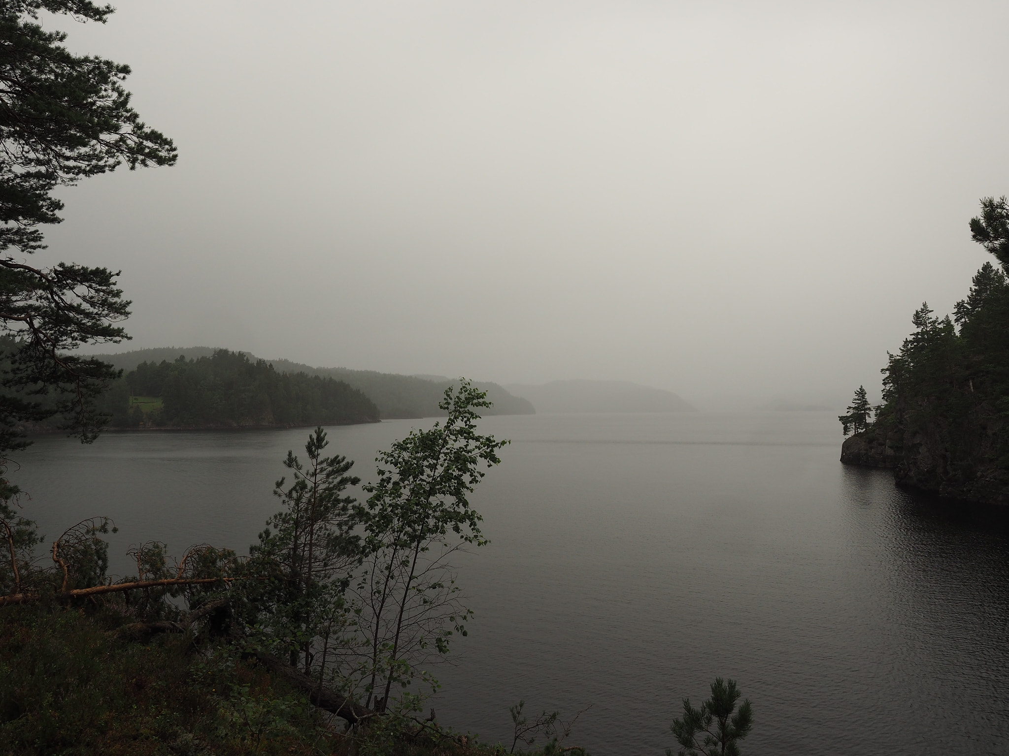 Olympus M.Zuiko Digital ED 12-40mm F2.8 Pro sample photo. Norwegian summer.... photography