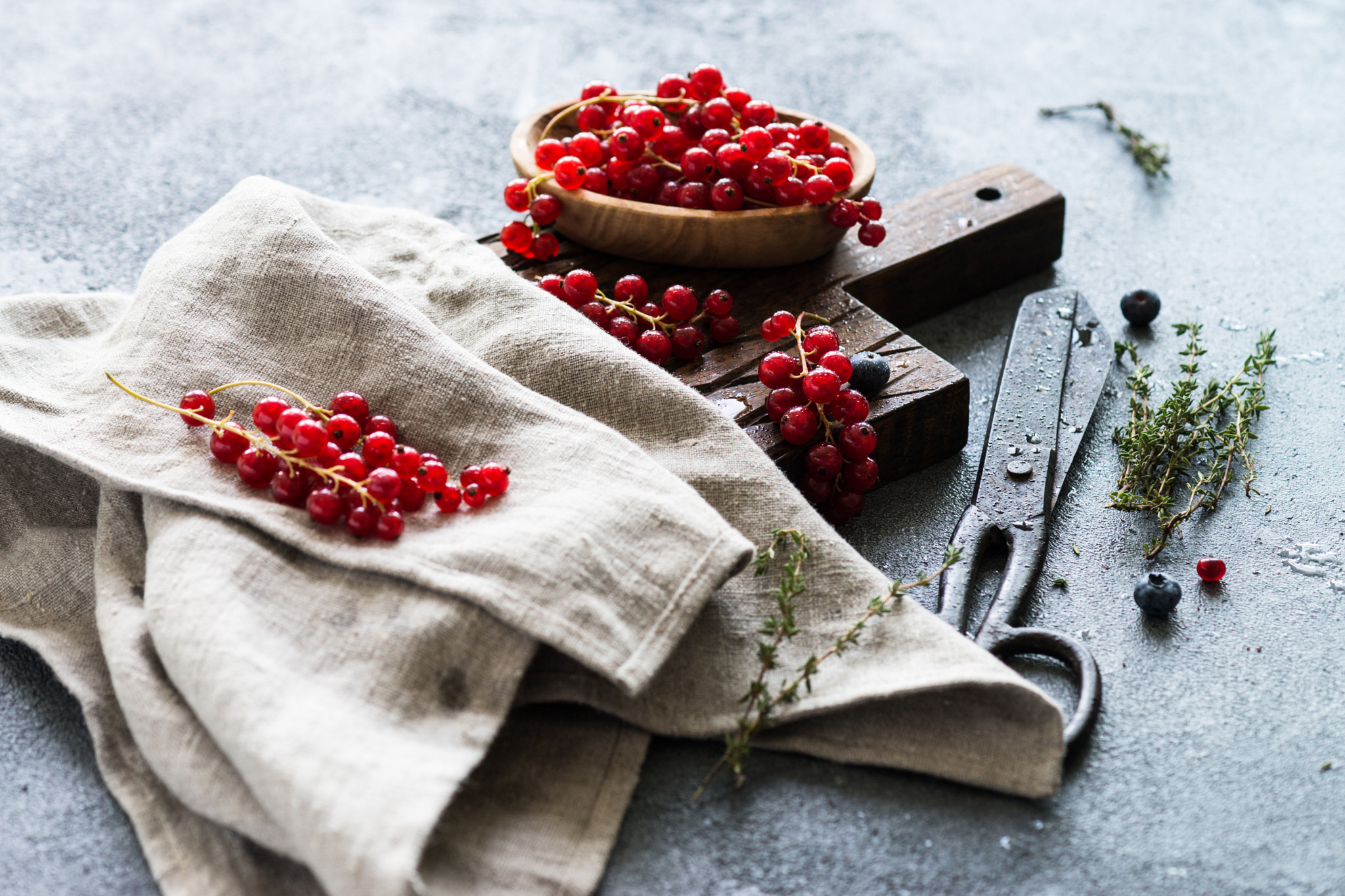 Sony a99 II + Sony 100mm F2.8 Macro sample photo. Red currant photography