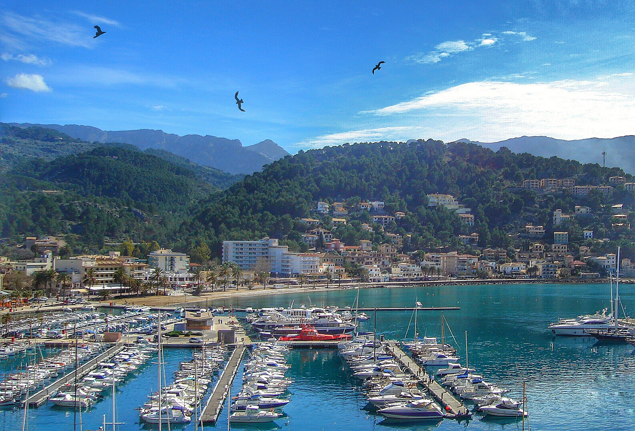 Sony DSC-S600 sample photo. El puerto de soller en mallorca photography