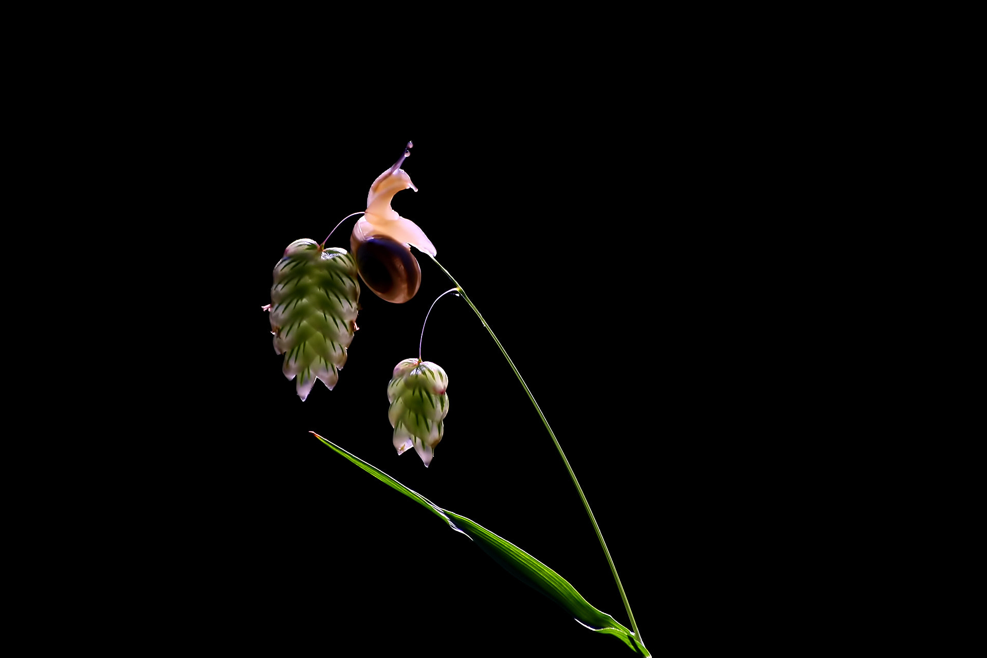 Sigma 70-300mm F4-5.6 APO DG Macro sample photo. Colors of nature photography