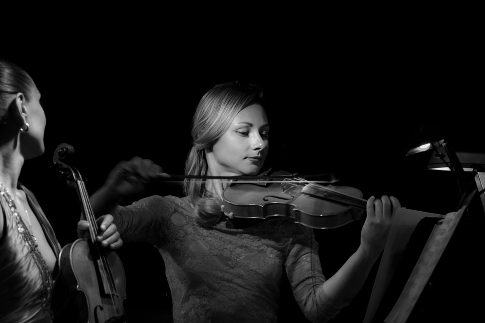 Canon EOS 500D (EOS Rebel T1i / EOS Kiss X3) sample photo. Alegria strings... photography