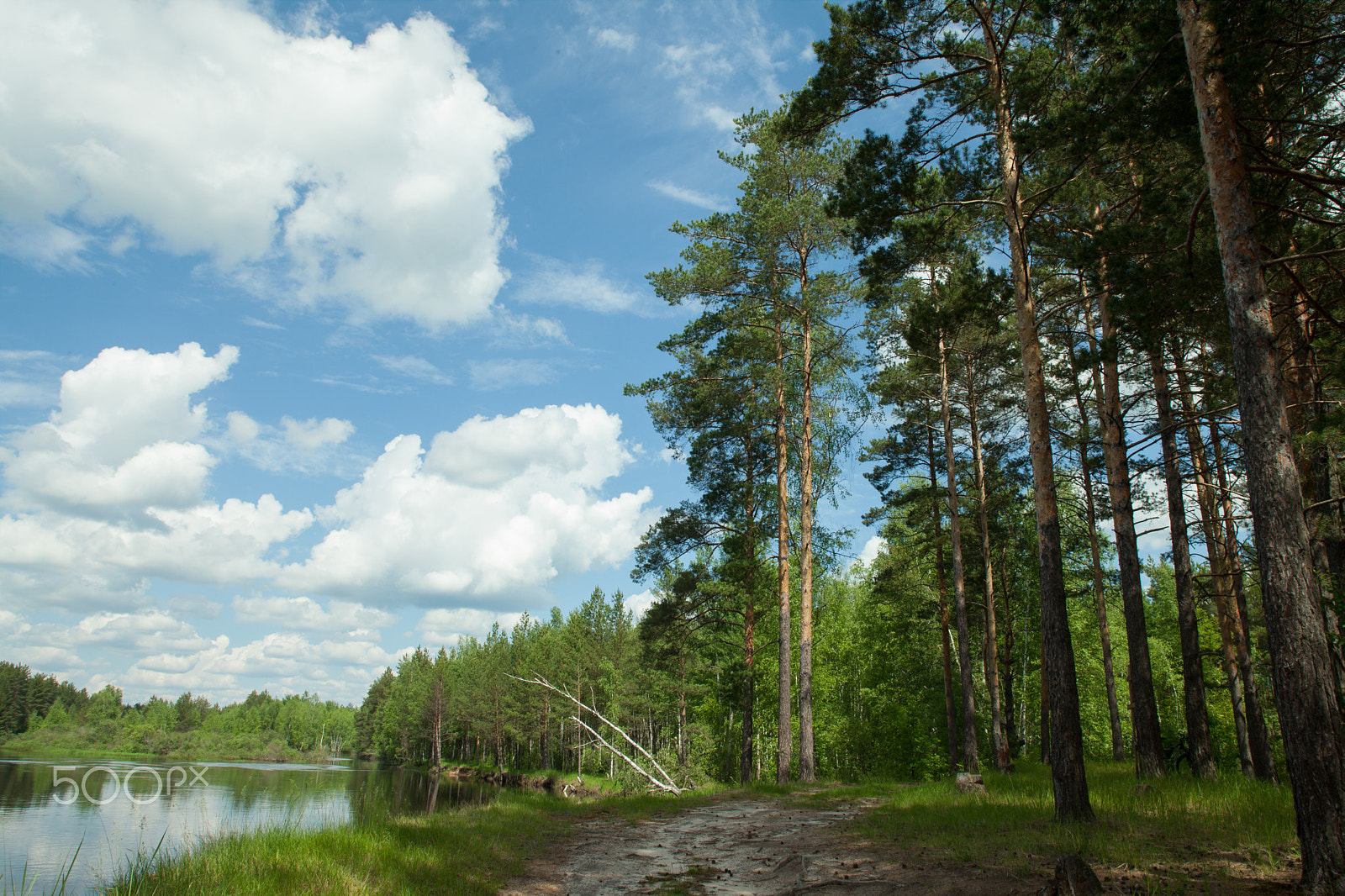 Canon EOS 5D Mark II + Canon TS-E 24mm f/3.5L sample photo. Spring on the river photography