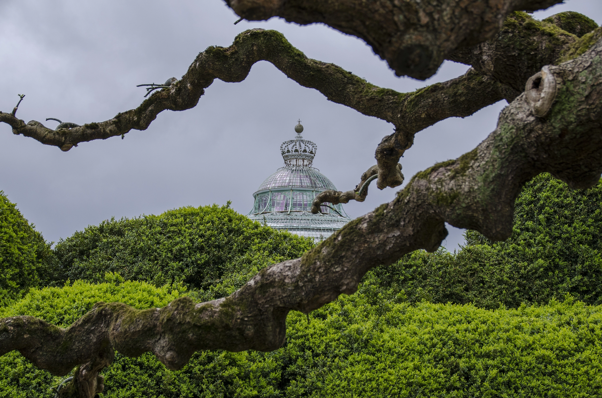 Sigma 18-200mm F3.5-6.3 II DC OS HSM sample photo. Royal green house in brussels photography