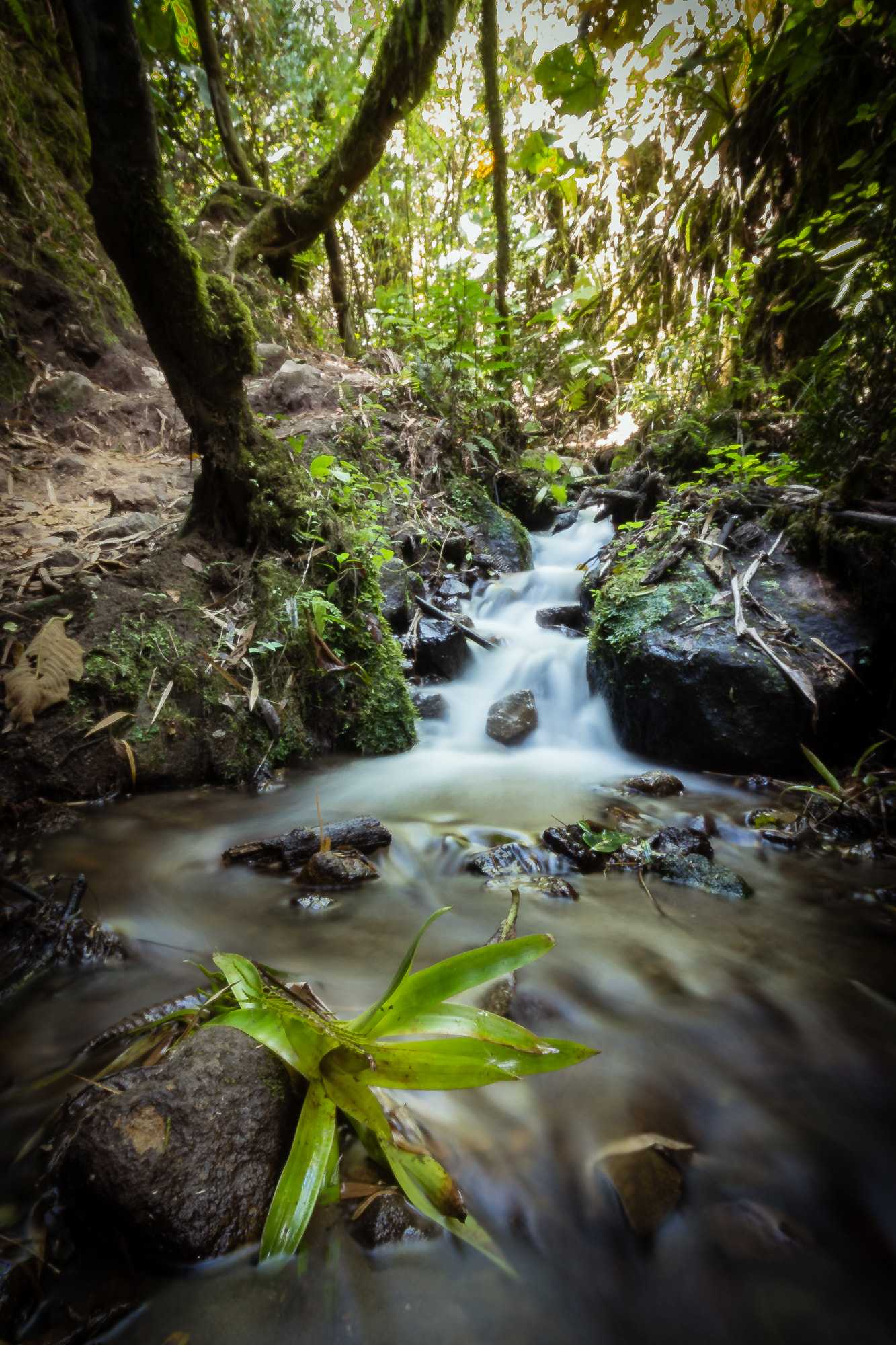 Sigma 10-20mm F4-5.6 EX DC HSM sample photo. Serenity photography