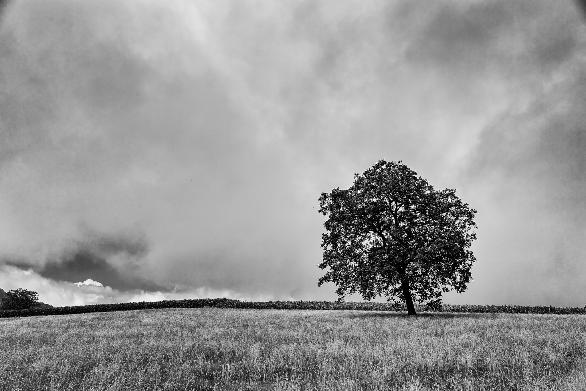 Nikon D5 + Sigma 35mm F1.4 DG HSM Art sample photo. Paysage savoyard photography