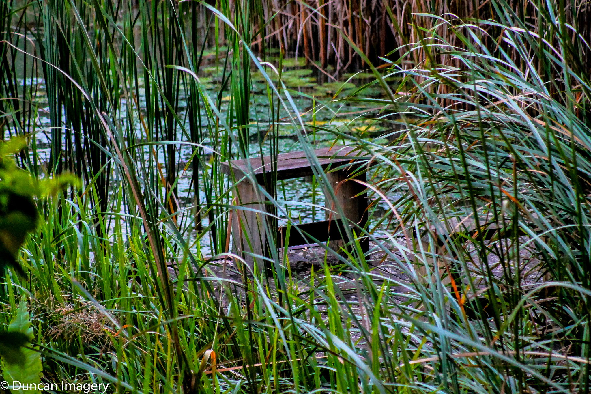Canon EF 80-200mm F4.5-5.6 II sample photo. Fisherman's bench photography
