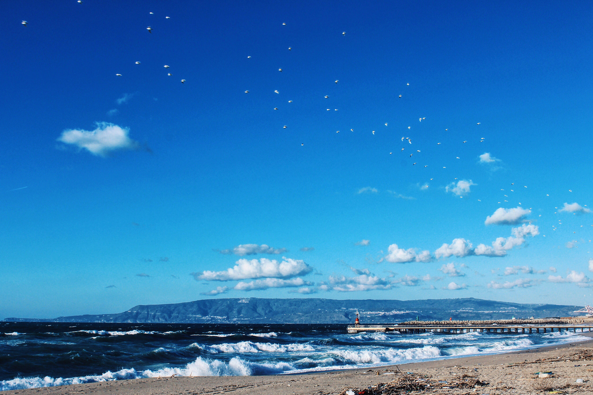 Canon EF-S 18-55mm F3.5-5.6 III sample photo. Furia photography