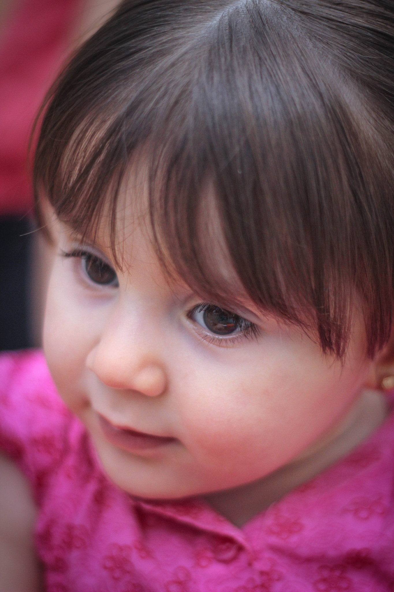 Canon EOS 600D (Rebel EOS T3i / EOS Kiss X5) + Canon EF 50mm f/1.8 sample photo. Randa photography