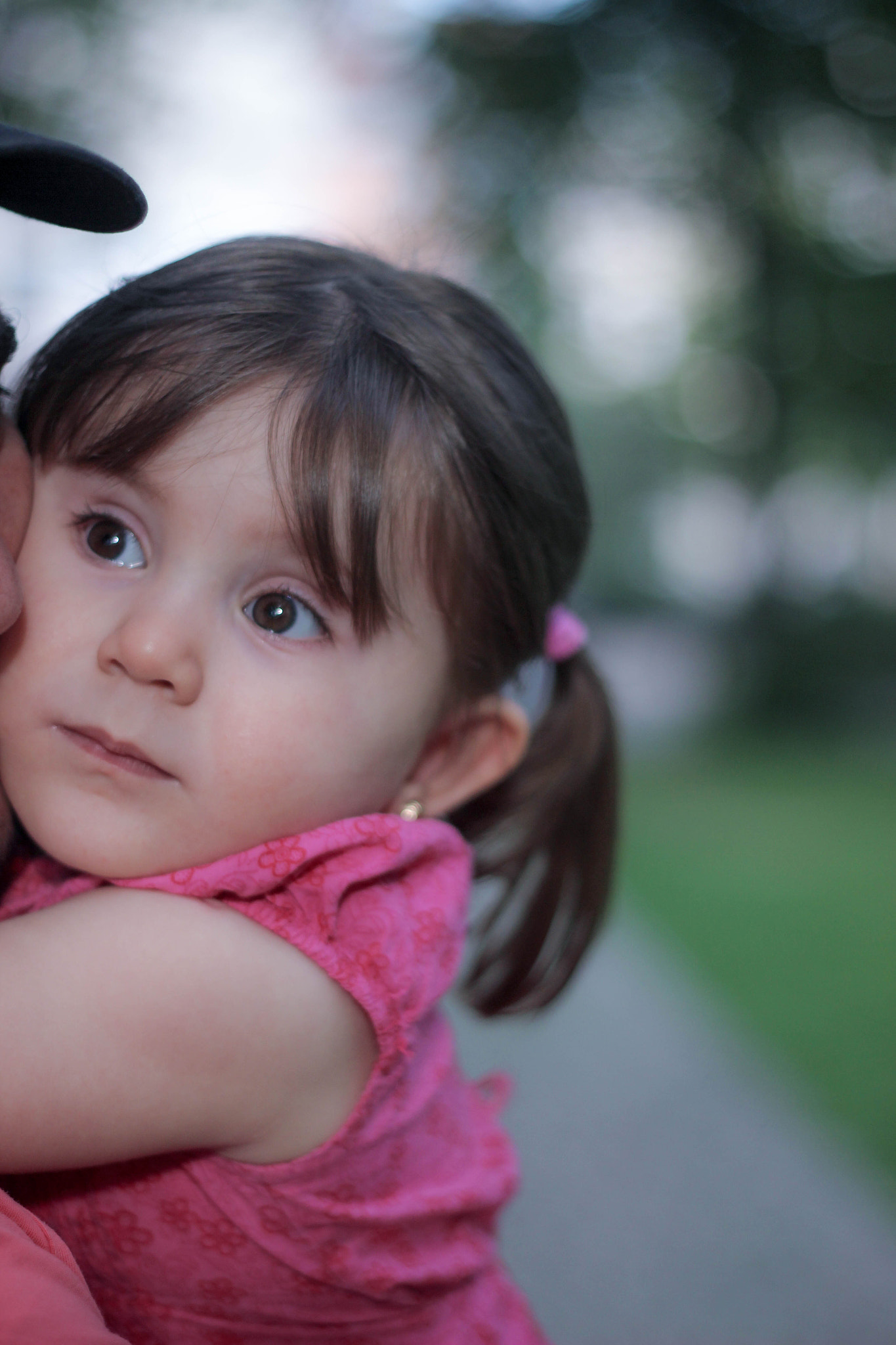 Canon EOS 600D (Rebel EOS T3i / EOS Kiss X5) + Canon EF 50mm f/1.8 sample photo. Randa photography
