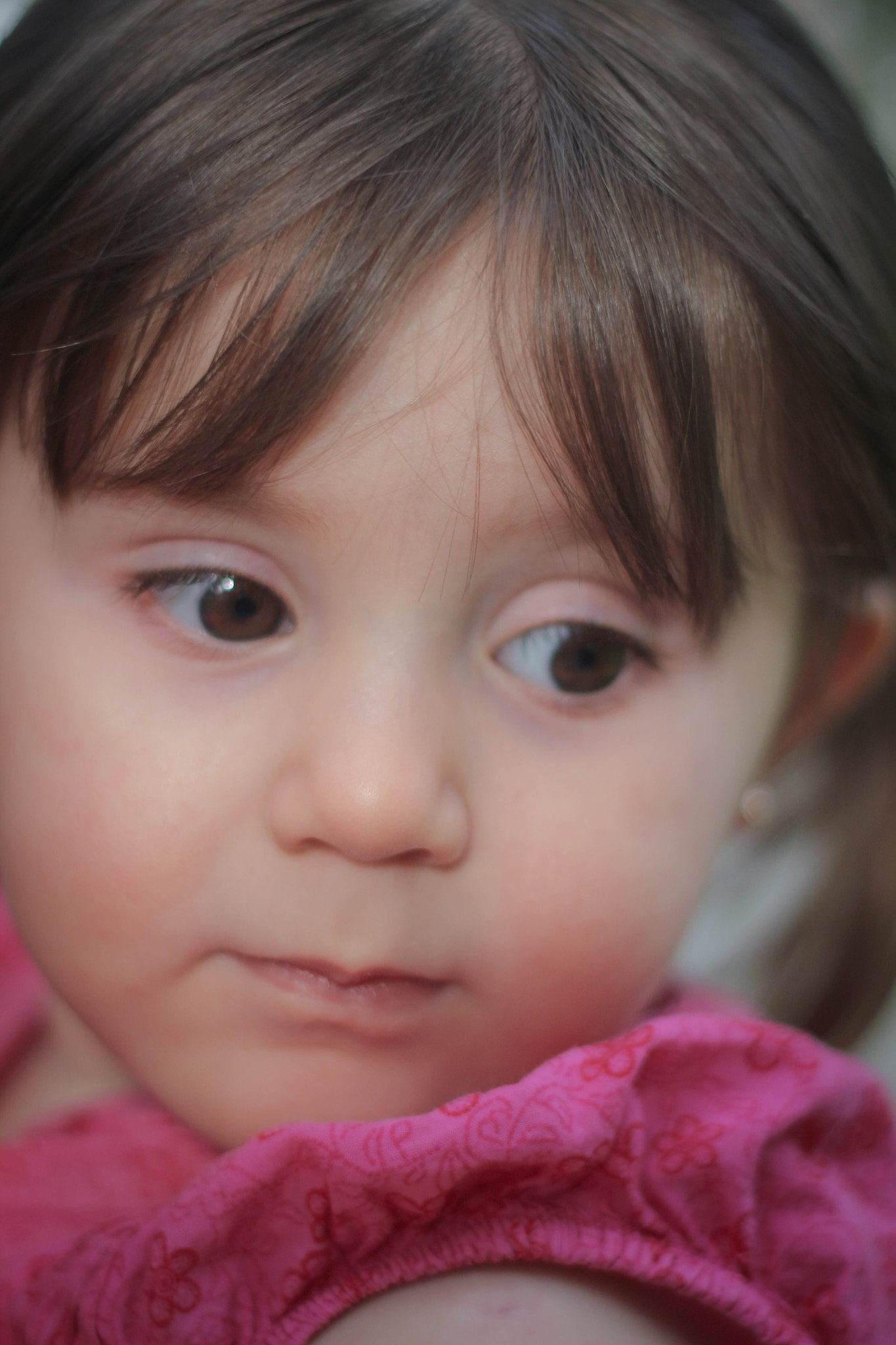 Canon EOS 600D (Rebel EOS T3i / EOS Kiss X5) + Canon EF 50mm f/1.8 sample photo. Randa photography