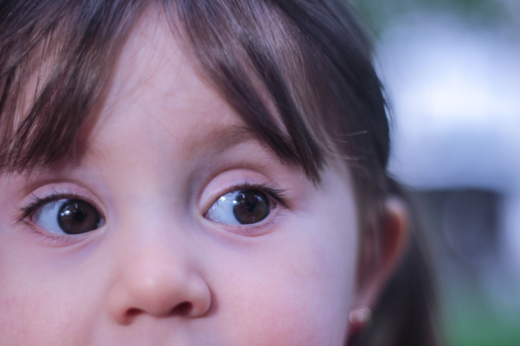 Canon EOS 600D (Rebel EOS T3i / EOS Kiss X5) + Canon EF 50mm f/1.8 sample photo. Randa photography