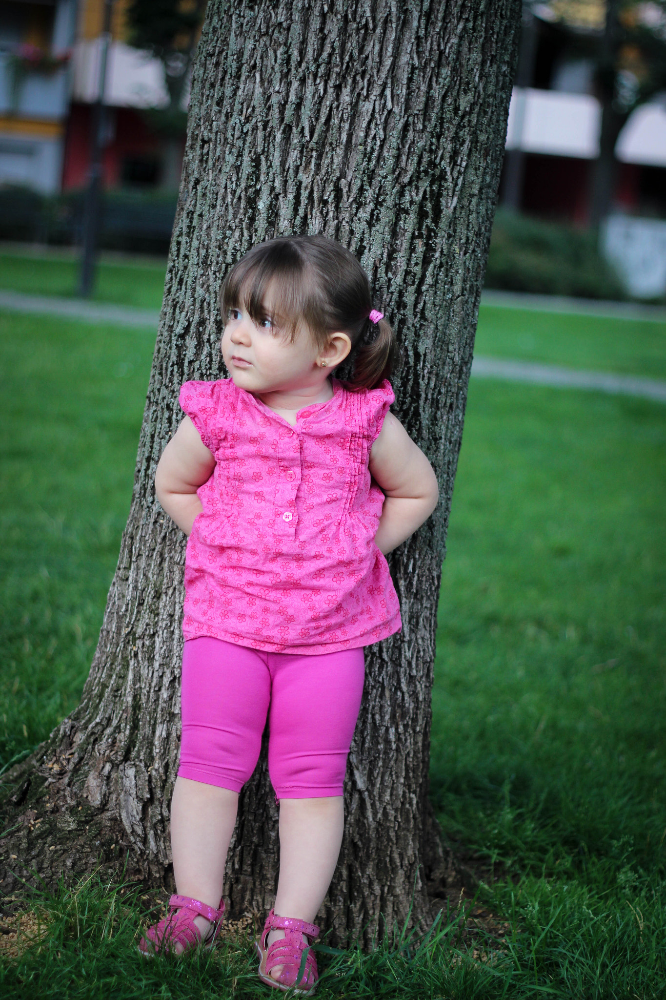 Canon EOS 600D (Rebel EOS T3i / EOS Kiss X5) + Canon EF 50mm f/1.8 sample photo. Randa photography