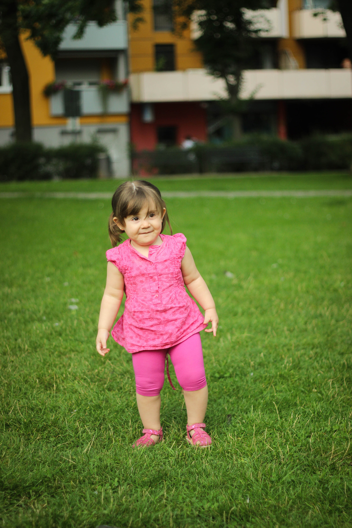 Canon EOS 600D (Rebel EOS T3i / EOS Kiss X5) + Canon EF 50mm f/1.8 sample photo. Randa photography
