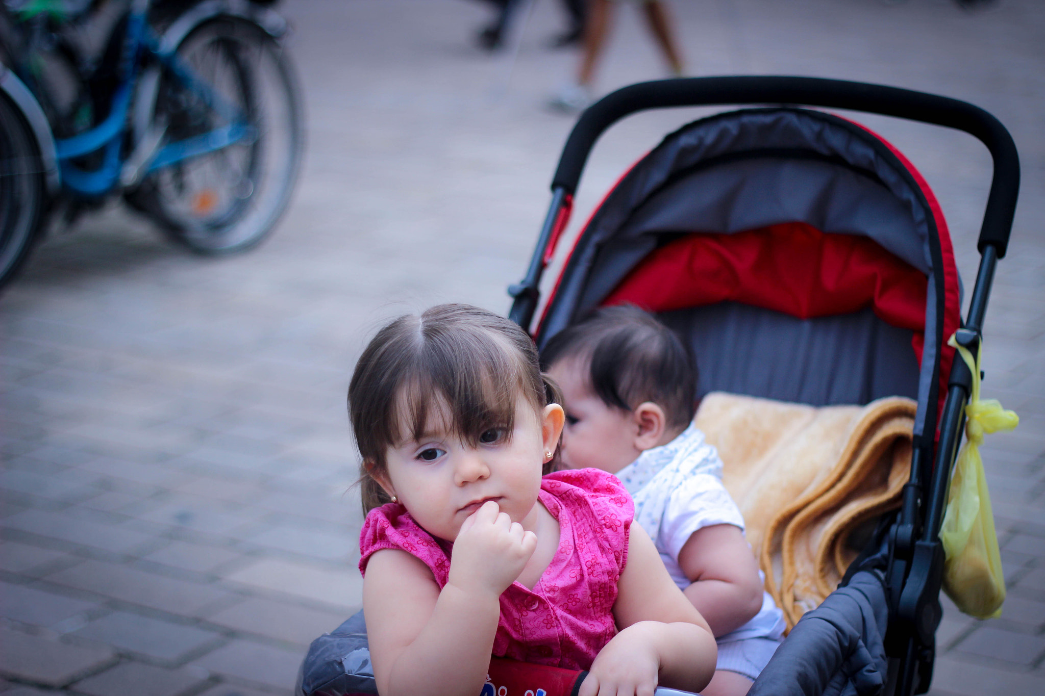 Canon EOS 600D (Rebel EOS T3i / EOS Kiss X5) + Canon EF 50mm f/1.8 sample photo. Randa photography