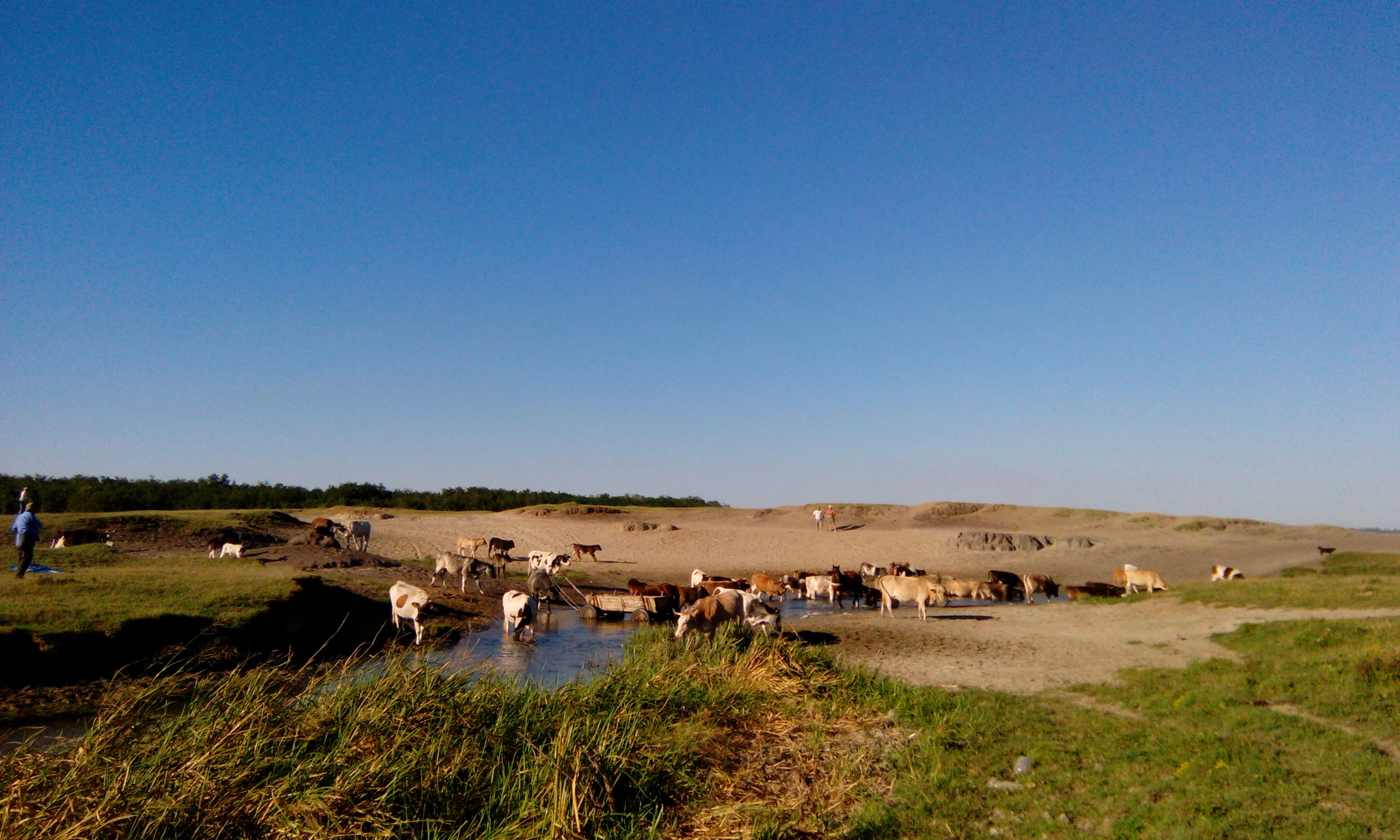 HTC DESIRE 620G DUAL SIM sample photo