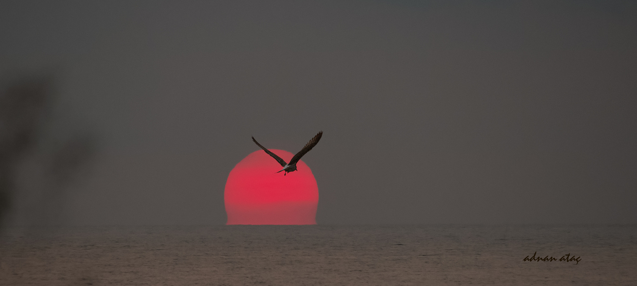 Sigma 50-500mm F4.5-6.3 DG OS HSM sample photo. Karadeniz - rize photography