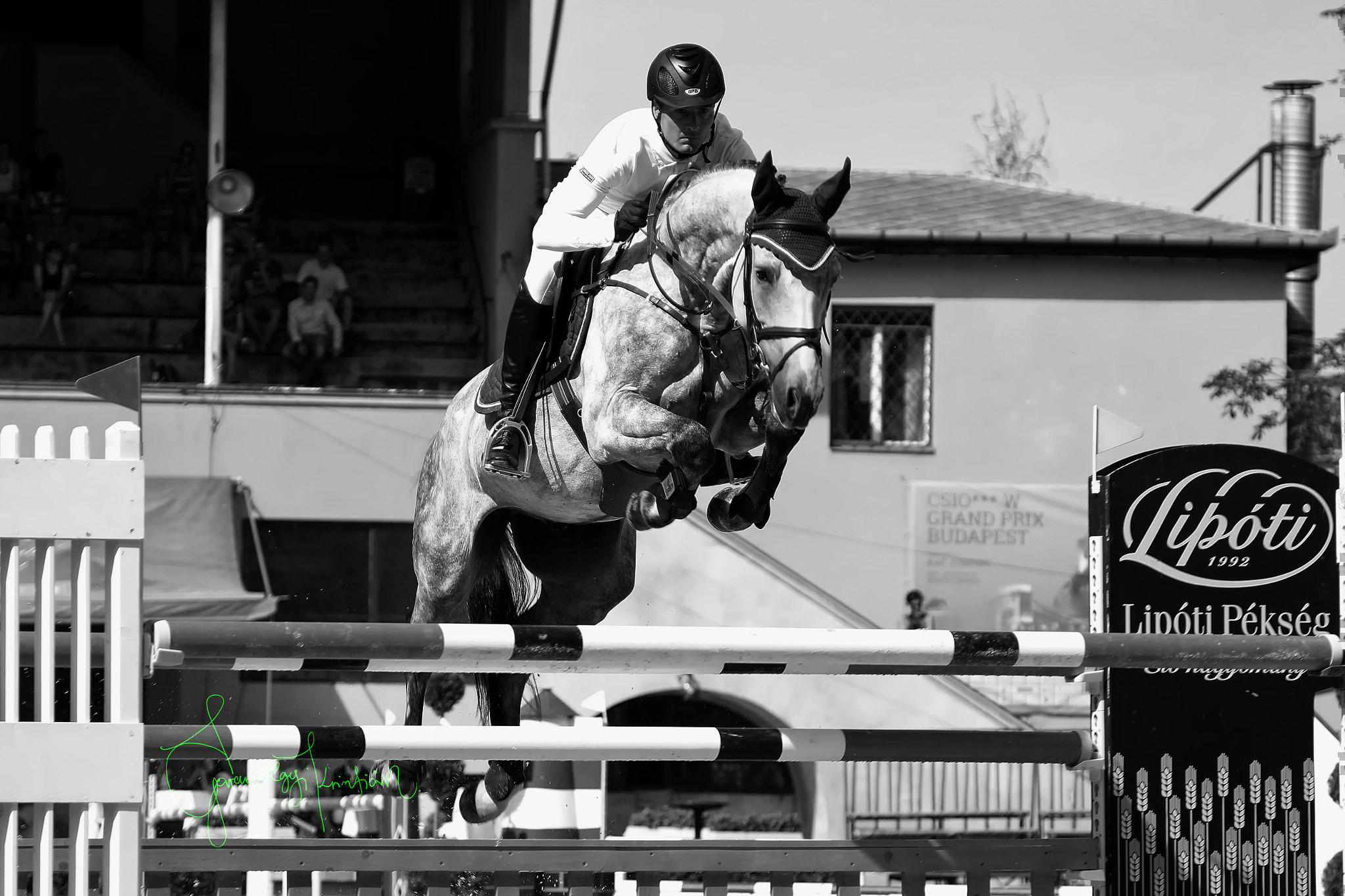 Canon EF 100-400mm F4.5-5.6L IS USM sample photo. Grand prix photography