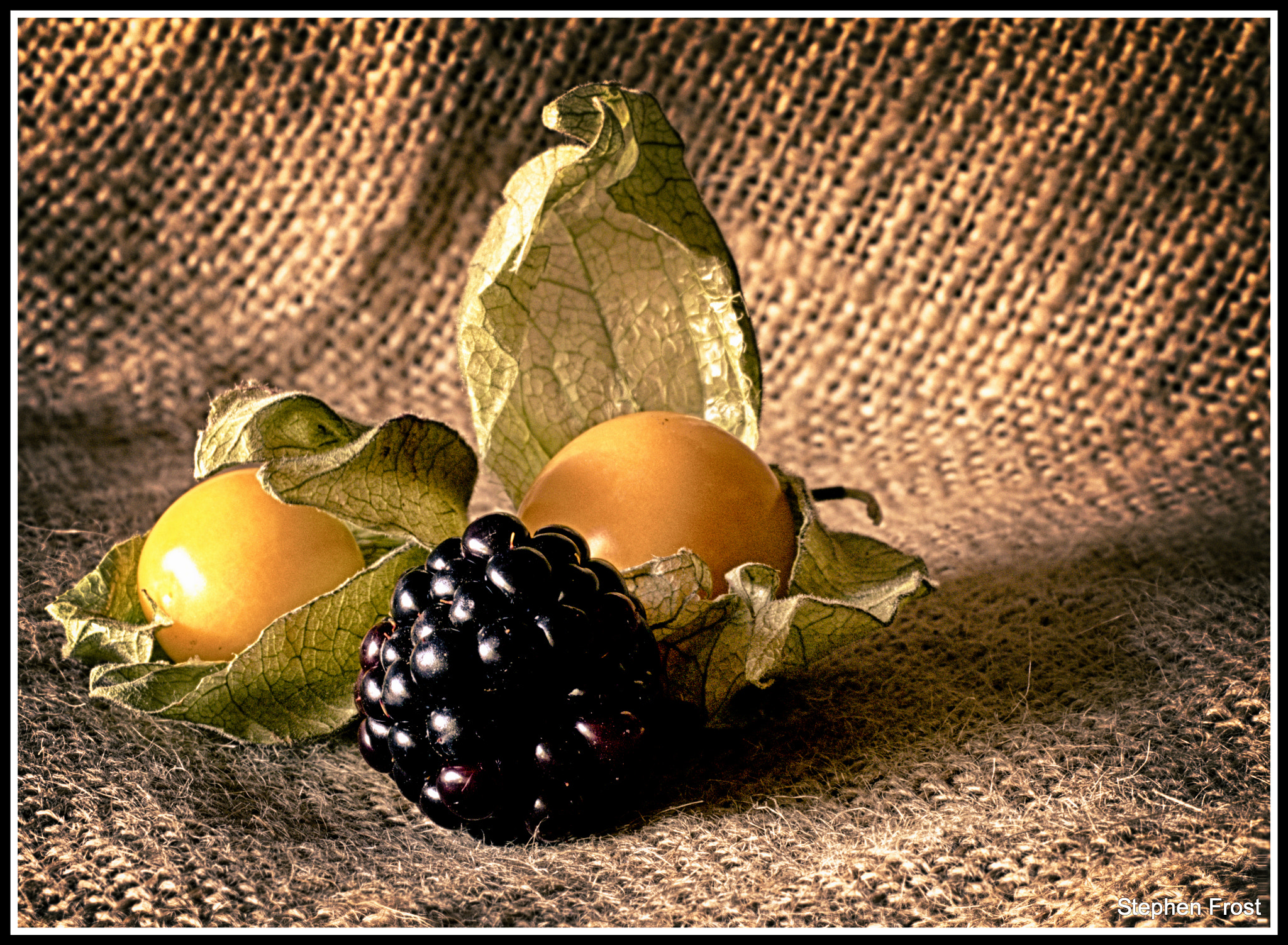 Olympus PEN E-PL5 sample photo. Cape gooseberries and blackberry ( the colour version). photography