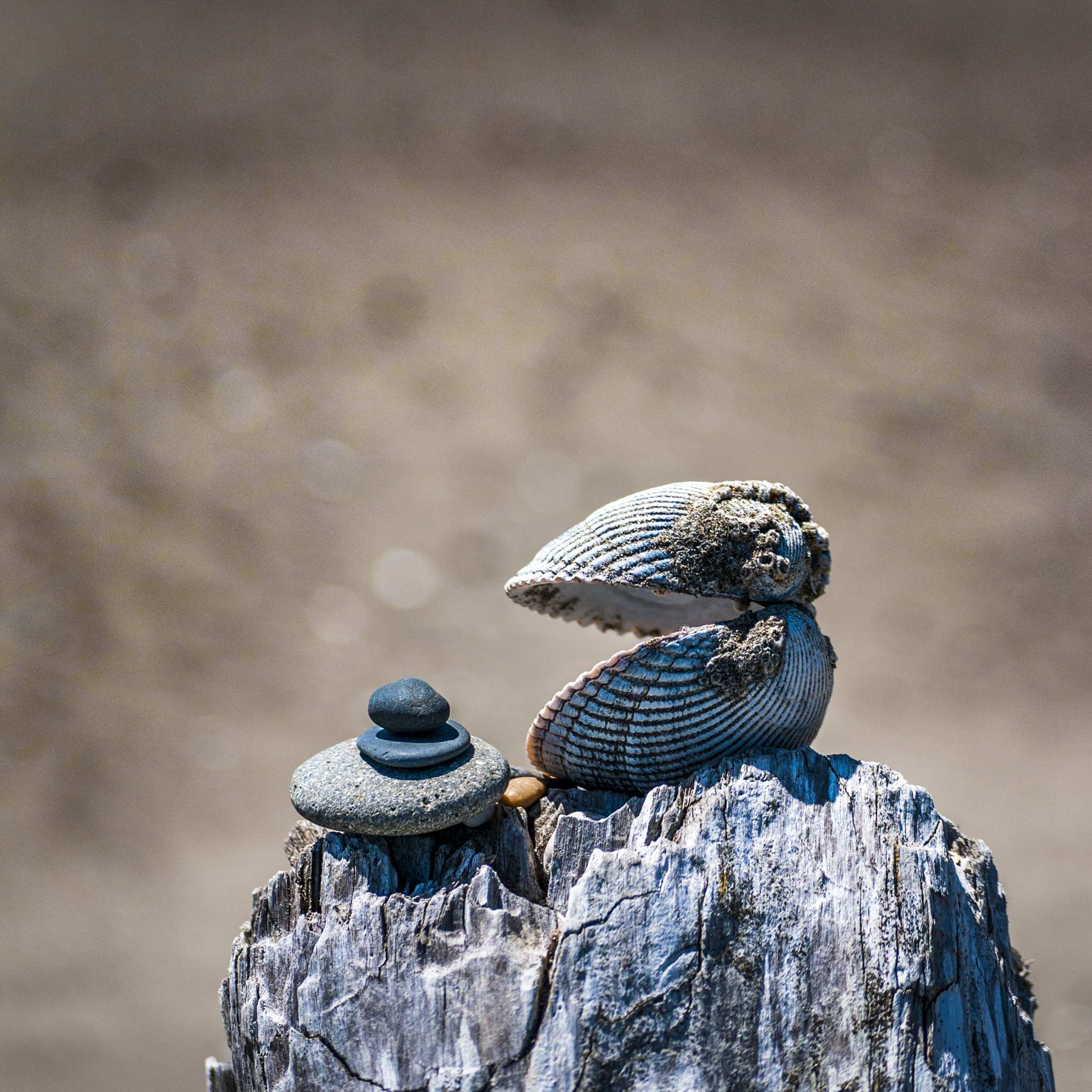 Nikon D300 sample photo. The conversation photography