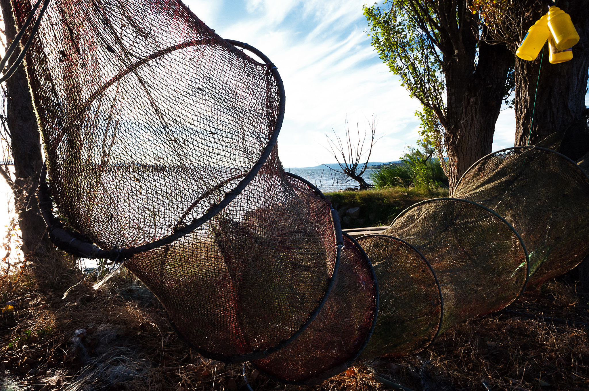 Sigma 8-16mm F4.5-5.6 DC HSM sample photo. Tofo photography