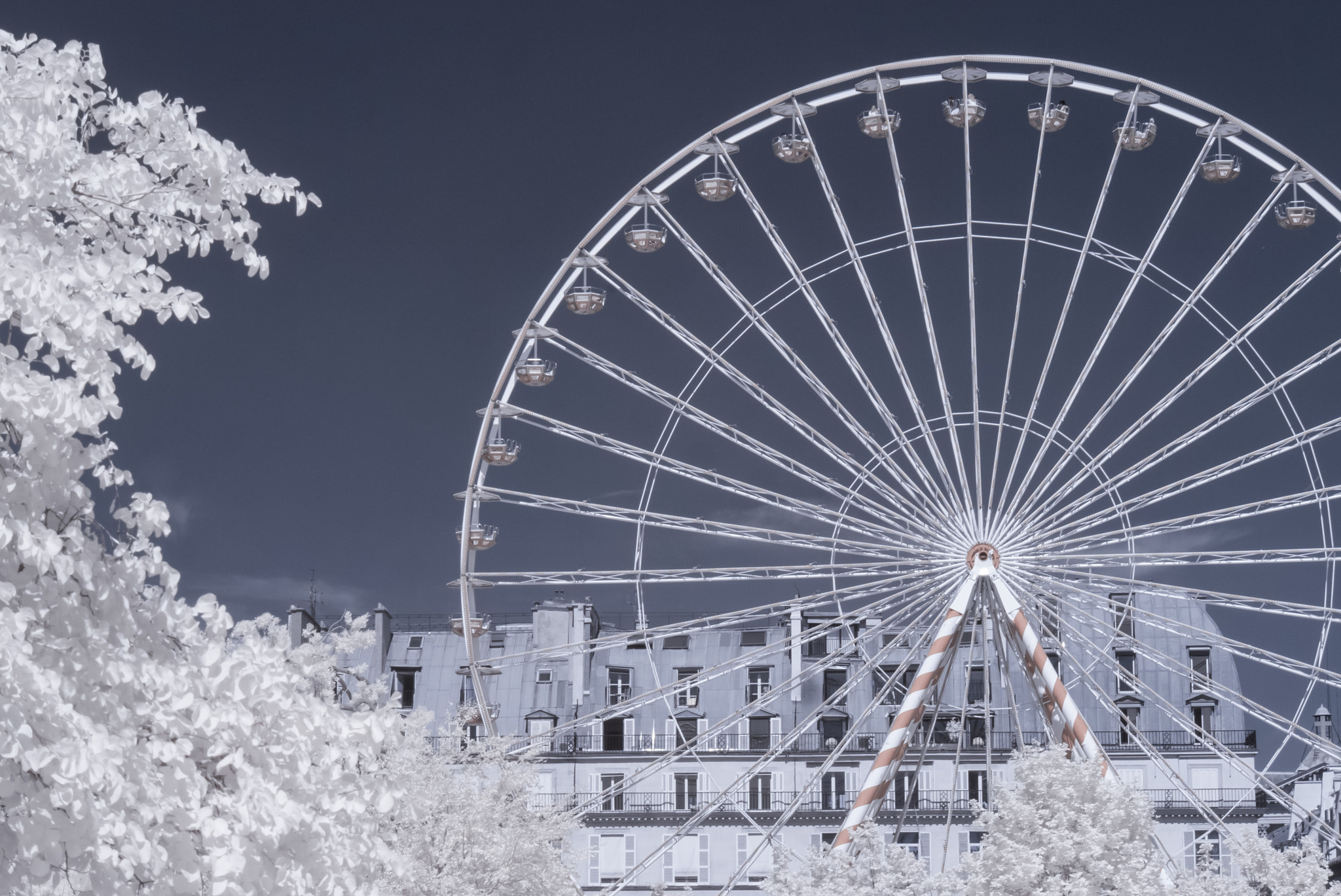 Panasonic Lumix DMC-GF1 sample photo. Wheel at tuileries garden in paris (infrared) photography