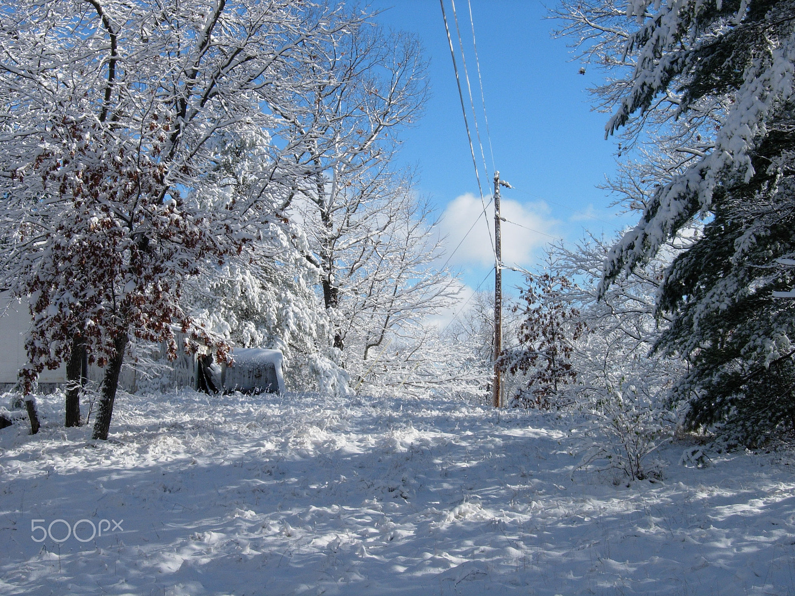 Nikon E5200 sample photo. I miss northern michigan photography