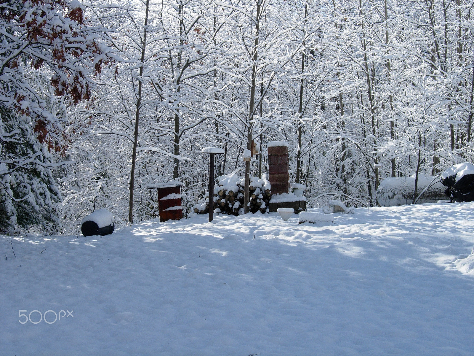 Nikon E5200 sample photo. I miss northern michigan photography