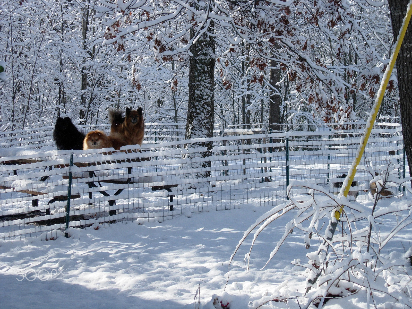 Nikon E5200 sample photo. I miss northern michigan photography