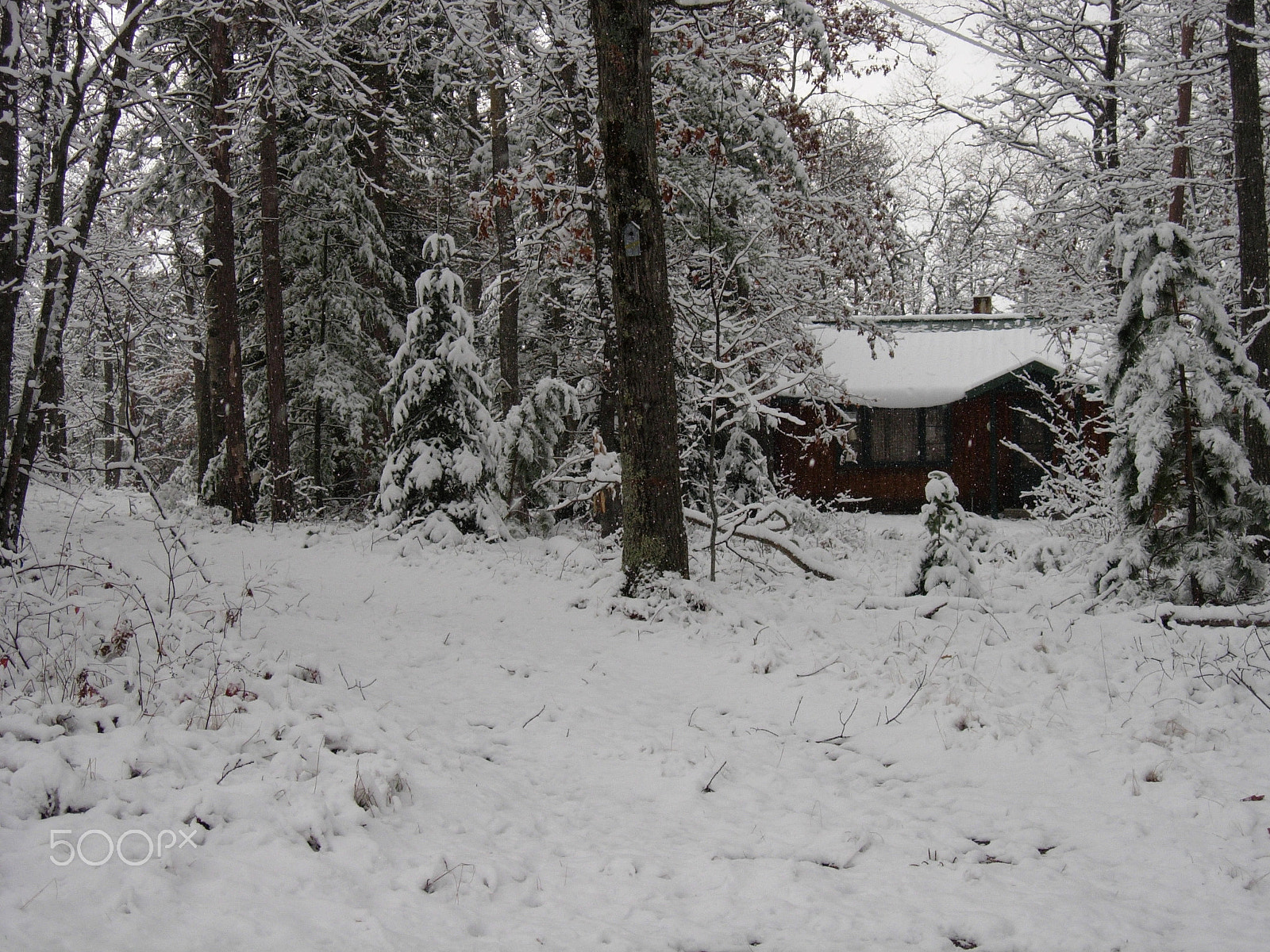 Nikon E5200 sample photo. I miss northern michigan photography