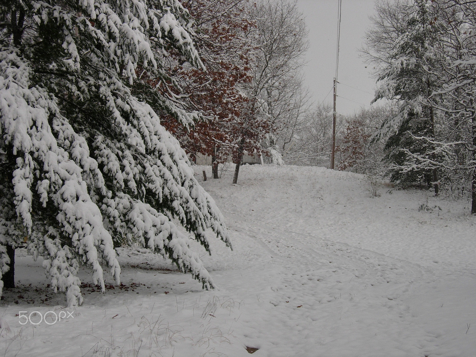 Nikon E5200 sample photo. I miss northern michigan photography