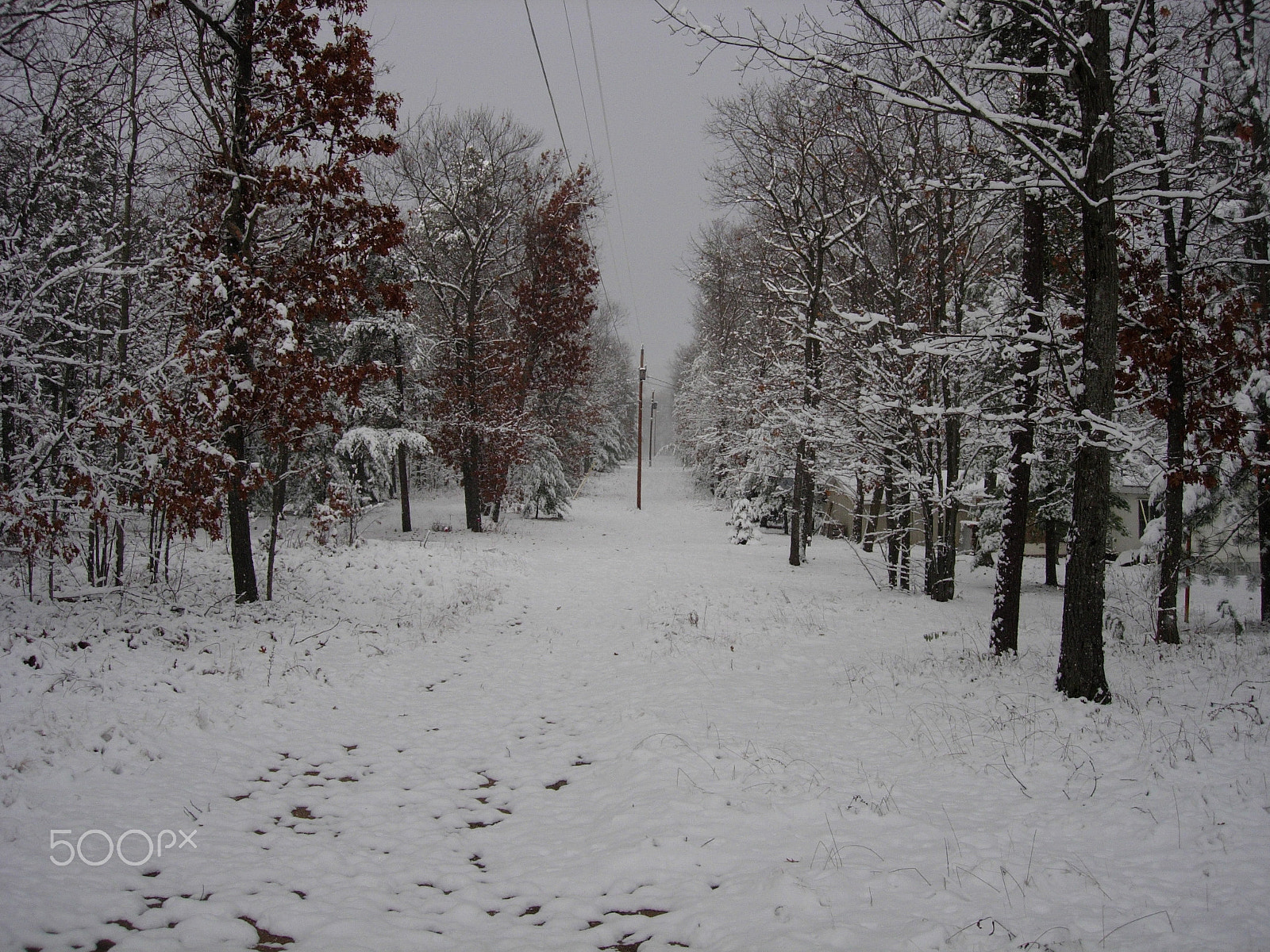 Nikon E5200 sample photo. I miss northern michigan photography