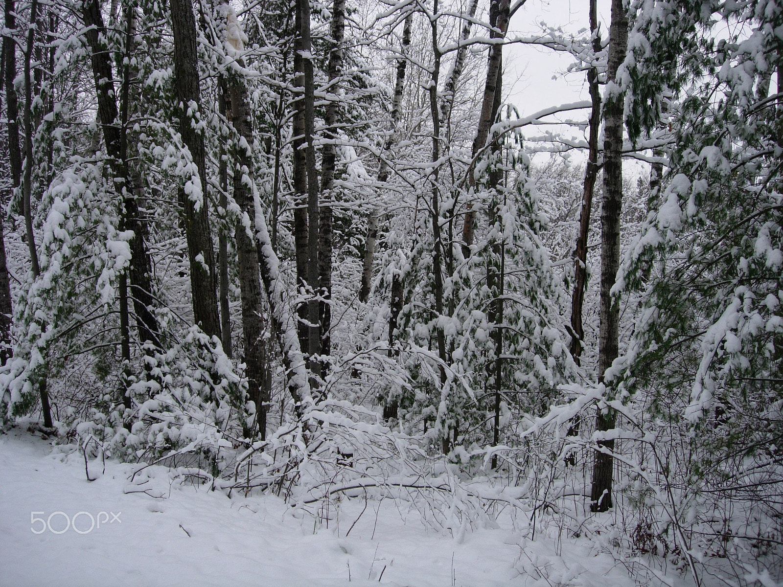 Nikon E5200 sample photo. I miss northern michigan photography