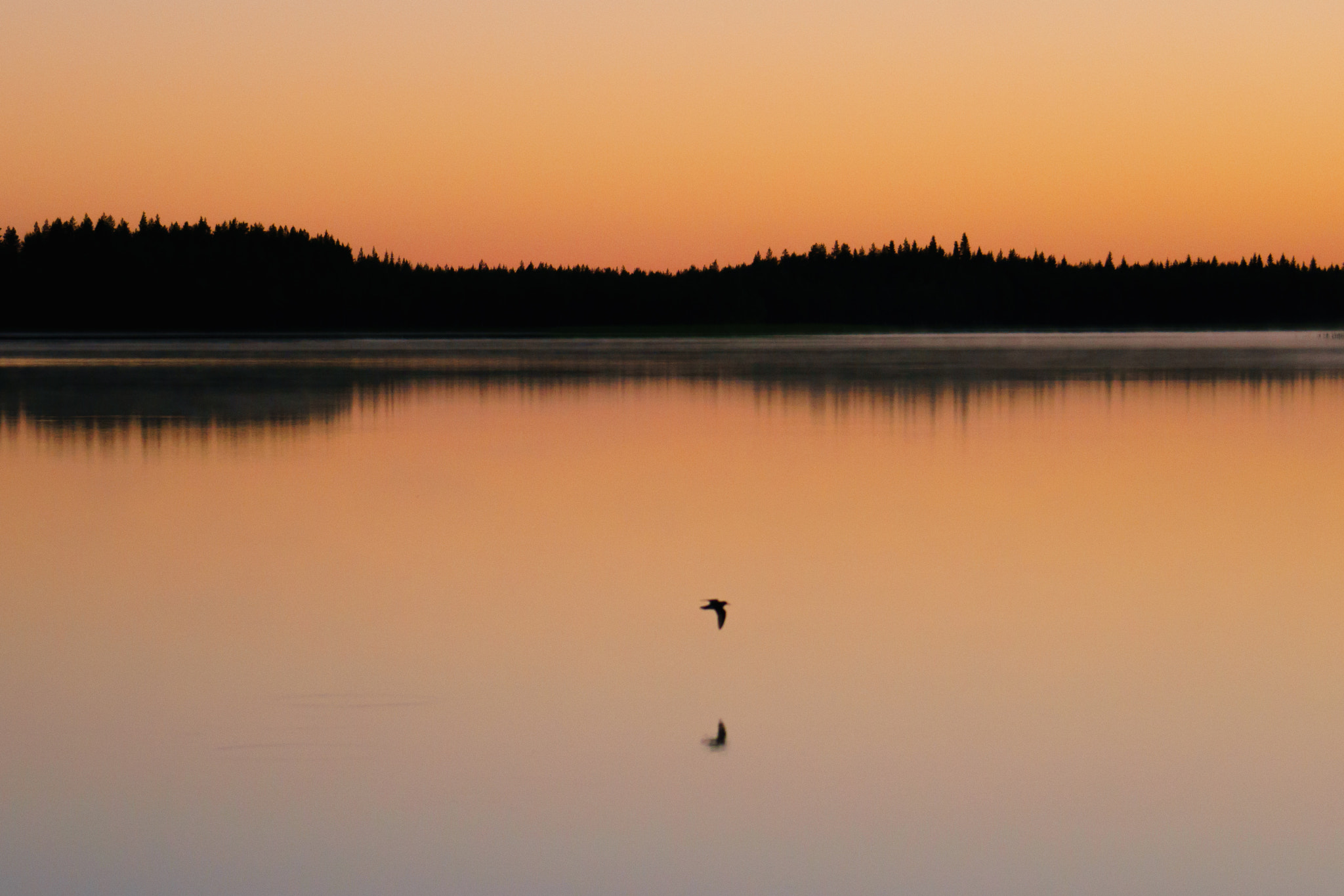 Sony FE 70-300mm F4.5-5.6 G OSS sample photo. Nightless night in the lapland photography