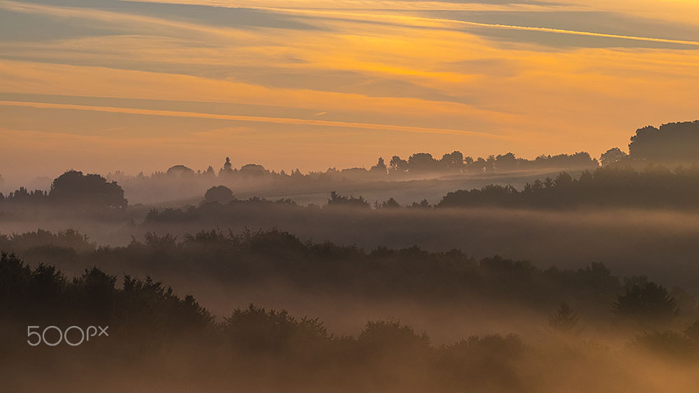 Fujifilm X-E2 + Fujifilm XF 90mm F2 R LM WR sample photo. Morning fog photography