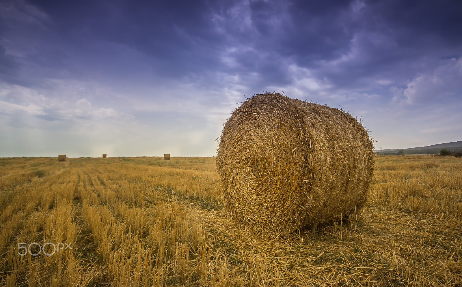 Sigma 10-20mm F4-5.6 EX DC HSM sample photo. The abandoned bale photography