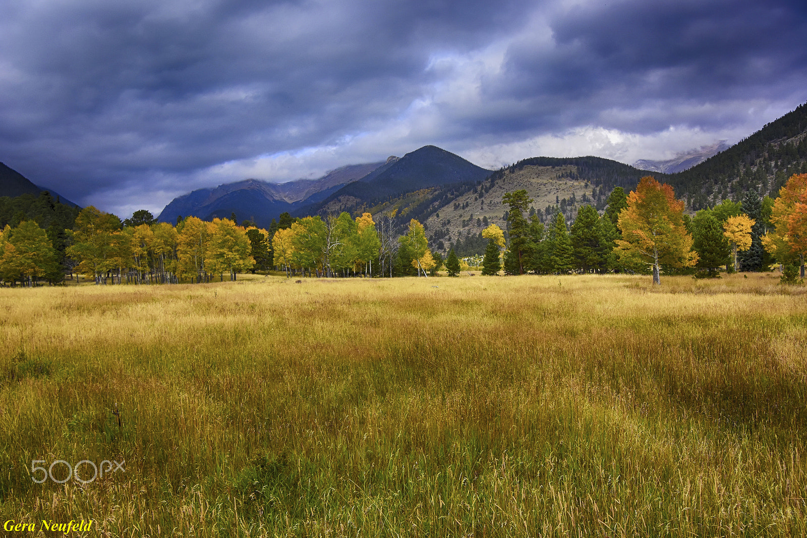 1 NIKKOR VR 10-100mm f/4-5.6 sample photo. Autumn in the rockies photography