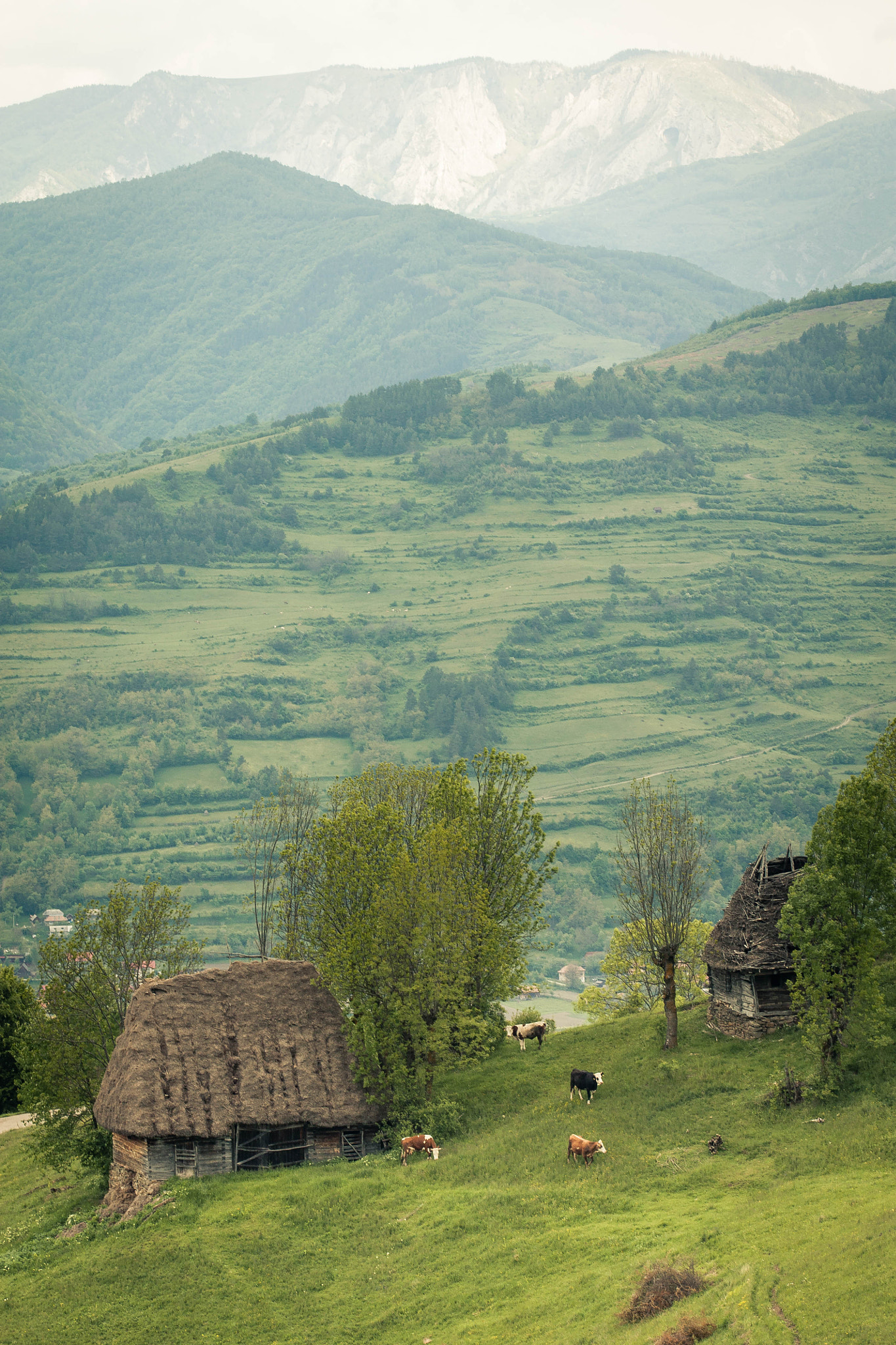 Canon EOS 450D (EOS Rebel XSi / EOS Kiss X2) sample photo. Transylvania landscape photography
