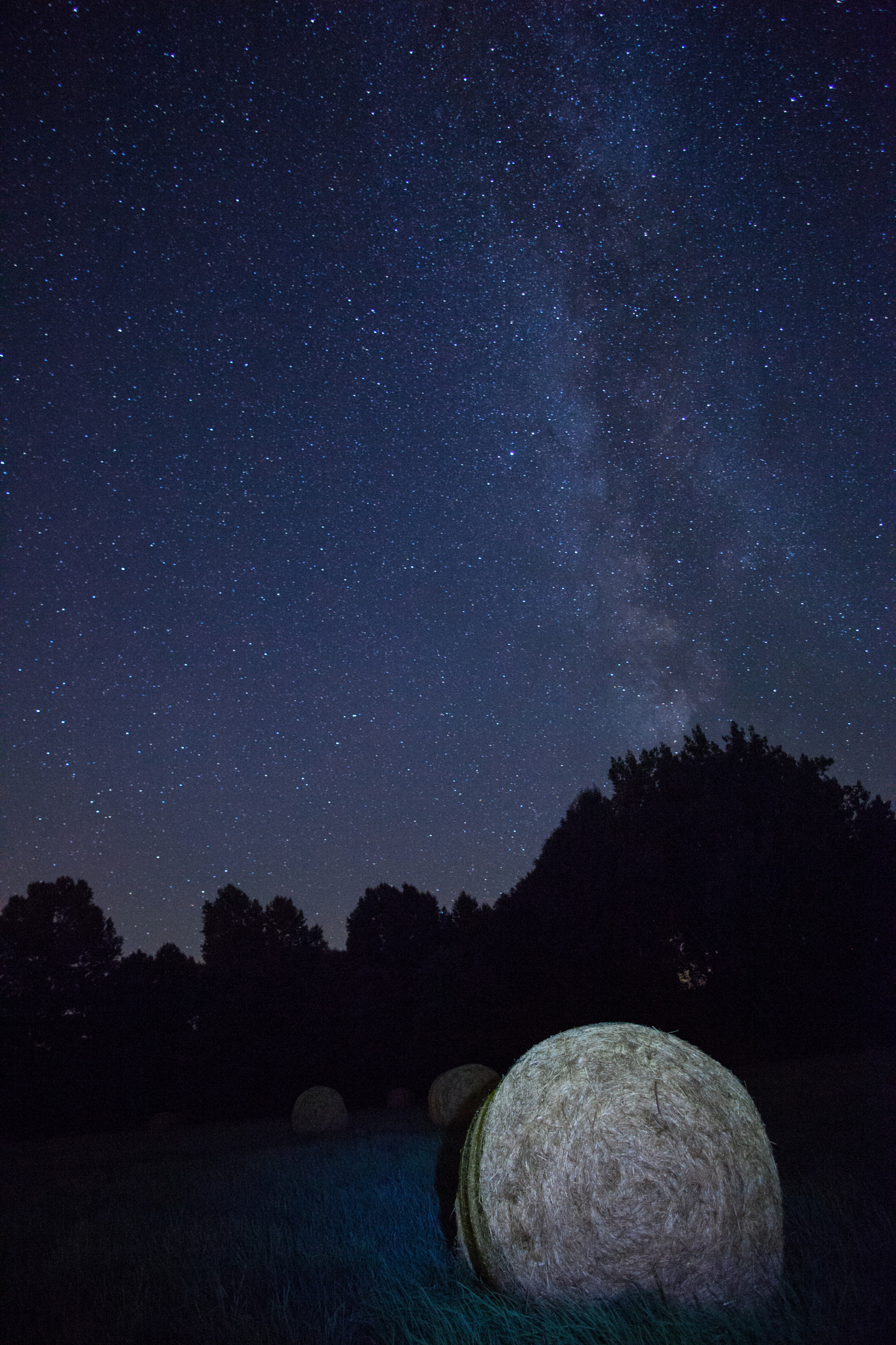 Canon EF 20-35mm F3.5-4.5 USM sample photo. Meule de foin photography