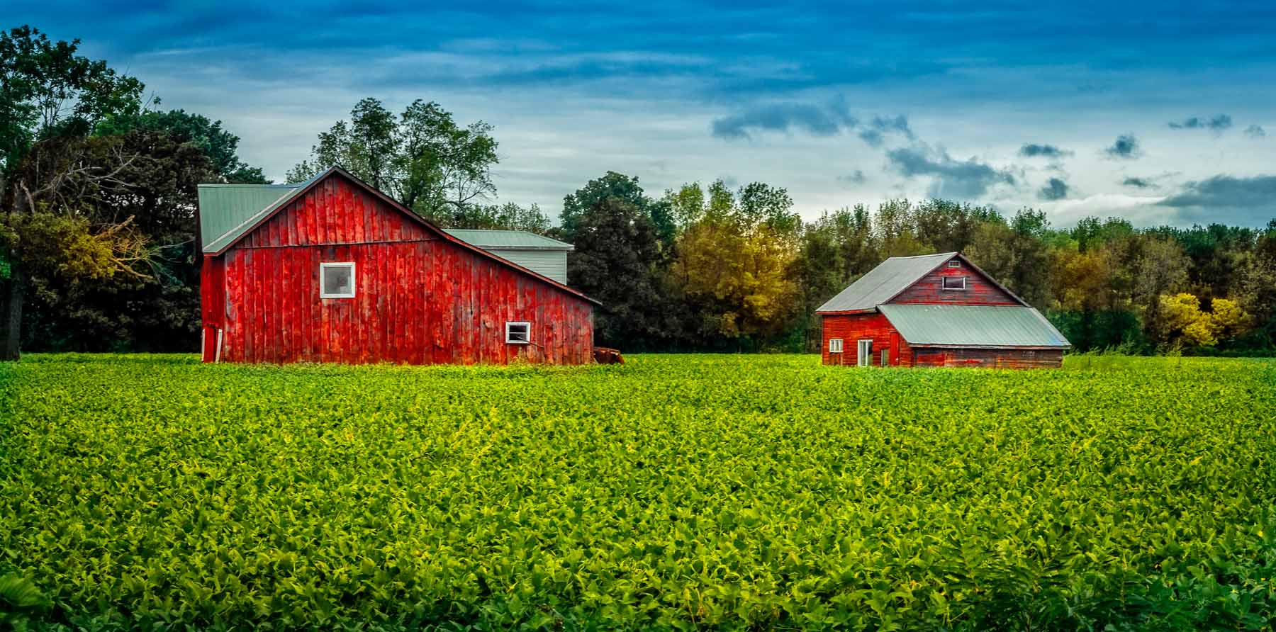 Sony Alpha DSLR-A500 + 35-70mm F4 sample photo. Ontario farmers field photography