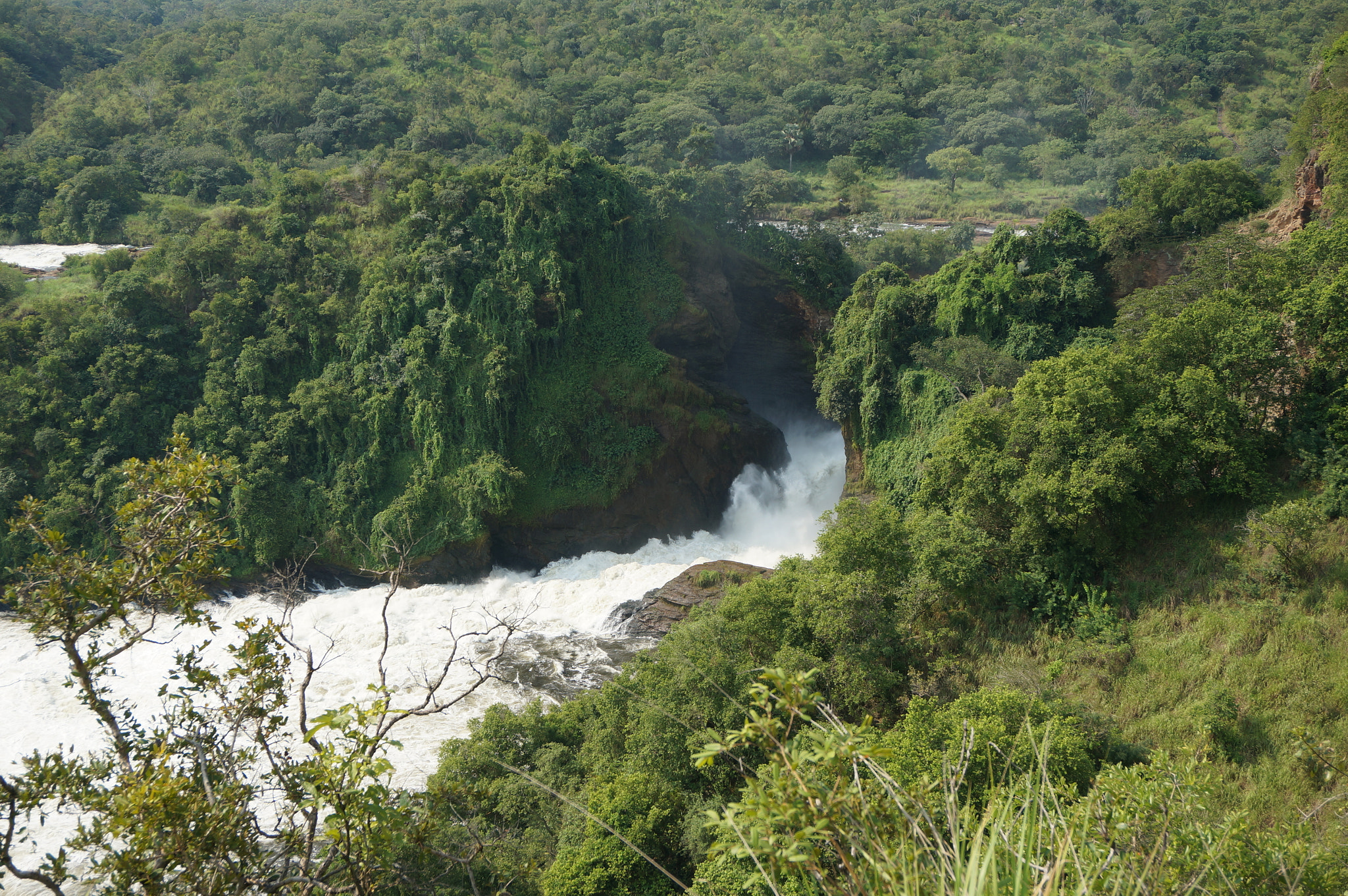 Sony E 16-50mm F3.5-5.6 PZ OSS sample photo. Murchison falls photography