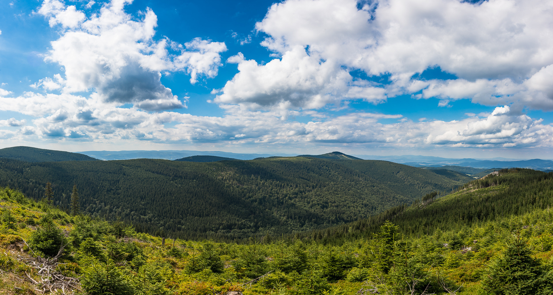 Sigma 17-35mm F2.8-4 EX DG  Aspherical HSM sample photo. Králický sněžník nature reserve photography