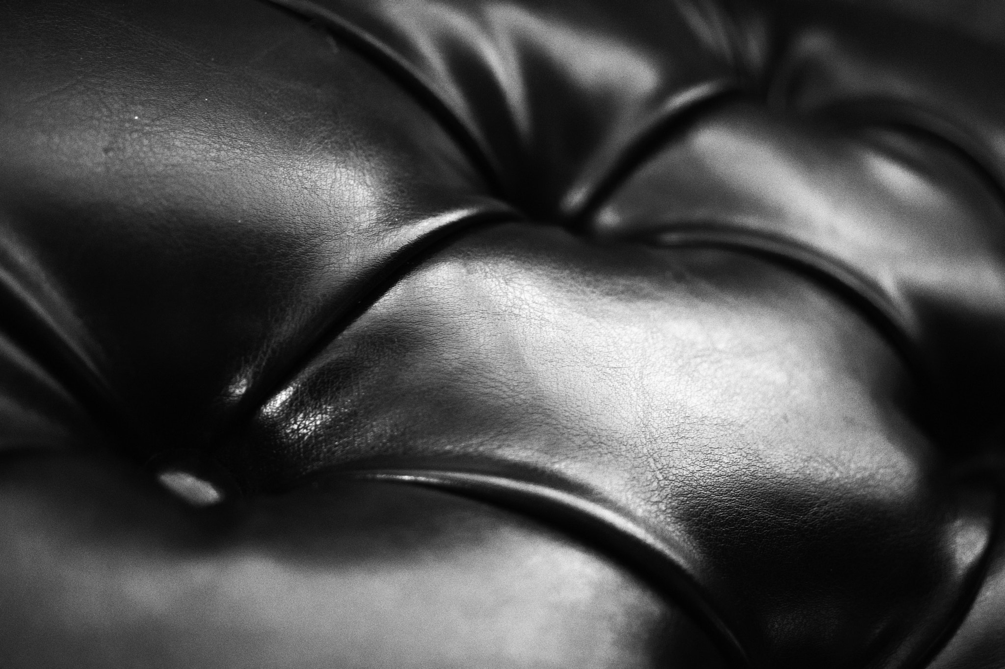 Sony DT 30mm F2.8 Macro SAM sample photo. Tuft photography