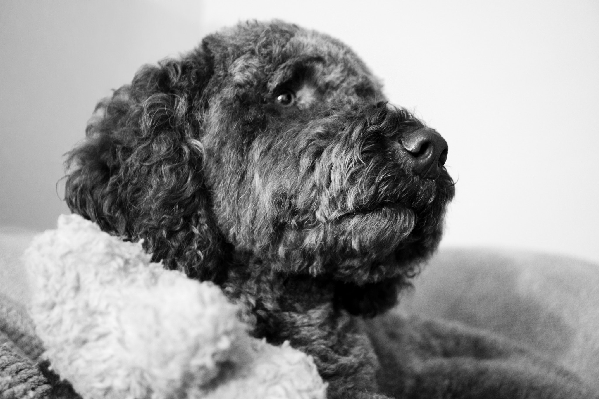 Sony DT 30mm F2.8 Macro SAM sample photo. Attentive photography