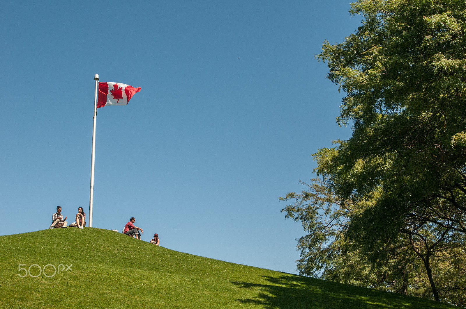 Nikon D300 sample photo. Sun bathing under the flag photography