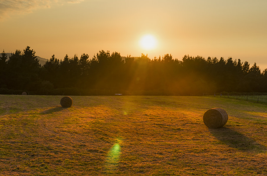 Nikon D90 + AF Zoom-Nikkor 28-85mm f/3.5-4.5 sample photo. Circles photography