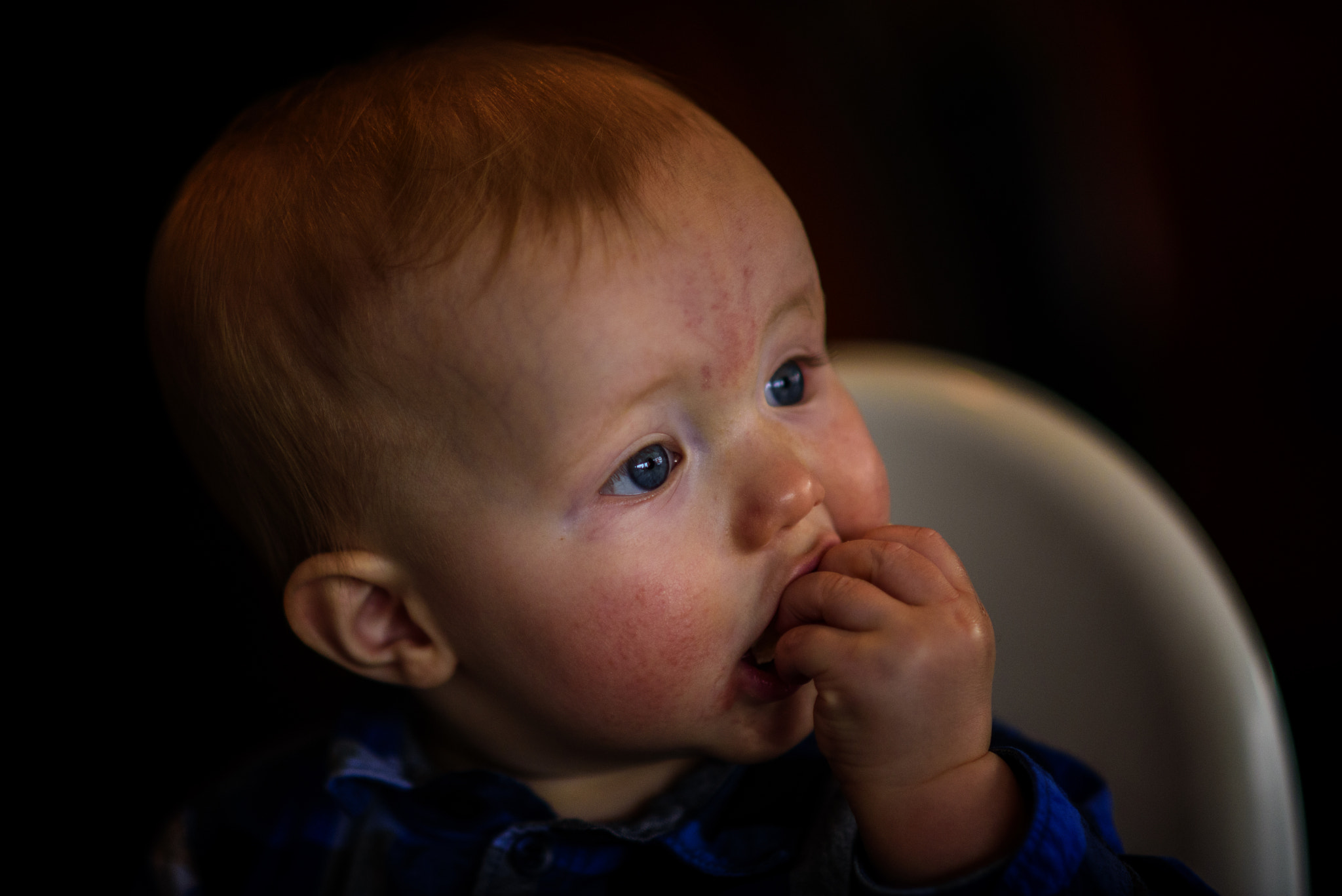 Nikon D750 + AF DC-Nikkor 135mm f/2D sample photo. Theodore photography