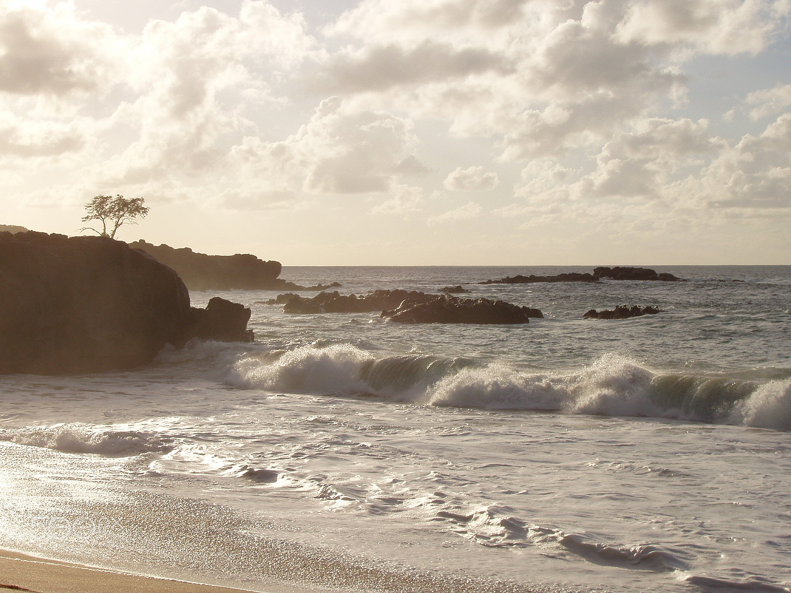 Olympus X-2,C-50Z sample photo. Kauai, hawaii islands photography