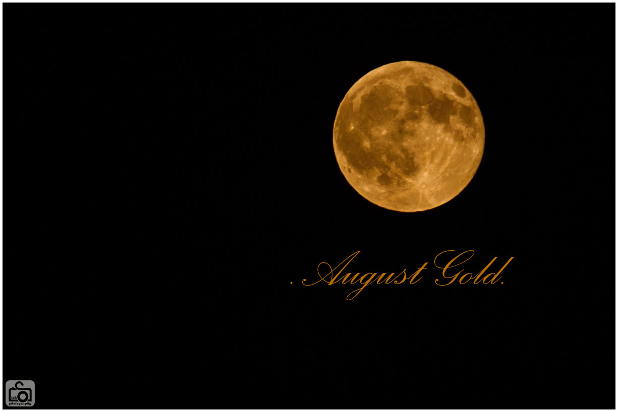 AF-S Zoom-Nikkor 80-200mm f/2.8D IF-ED sample photo. August goldjpg photography