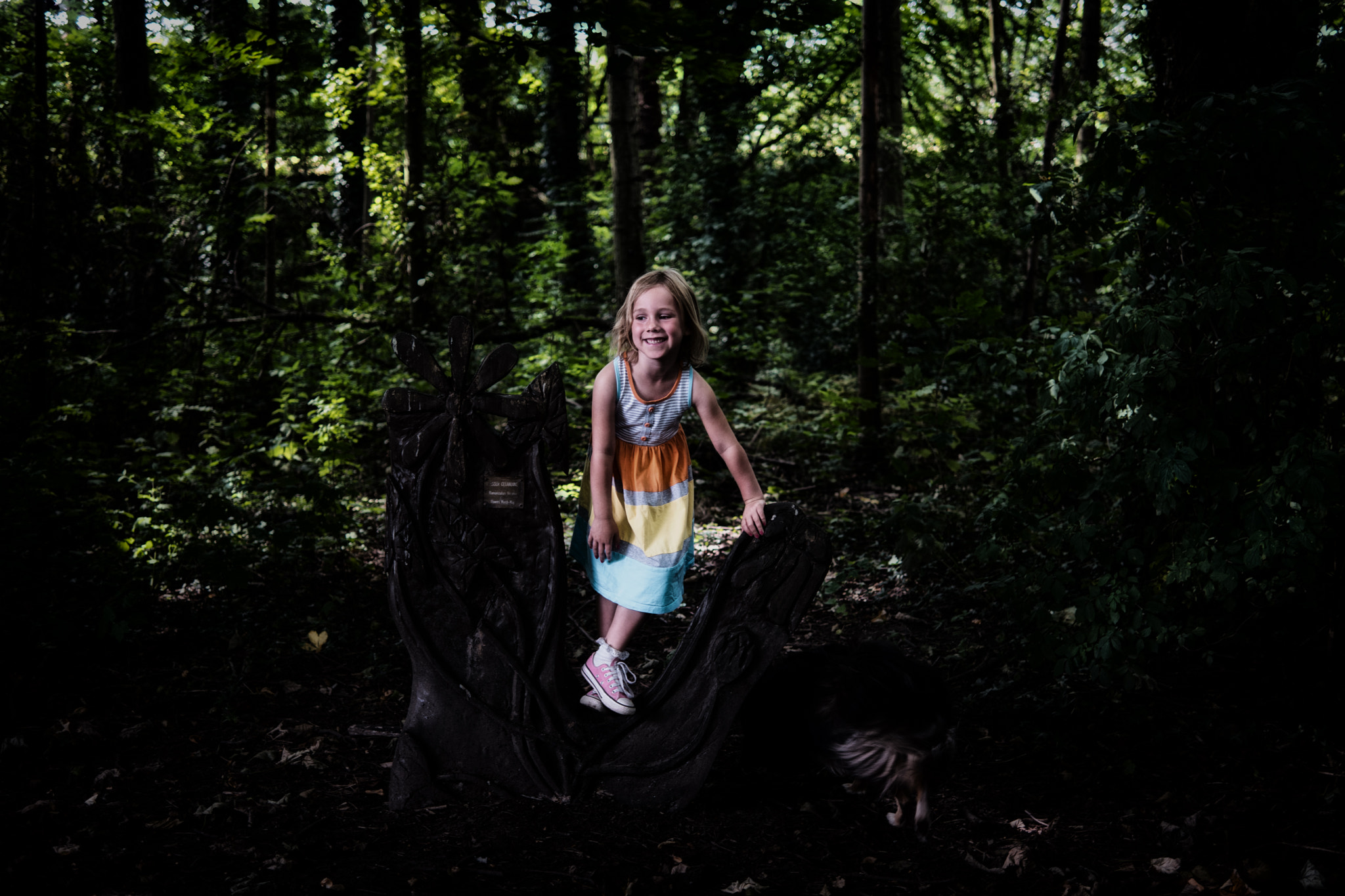 NX 30mm F2 sample photo. Woods photography